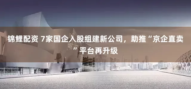 锦鲤配资 7家国企入股组建新公司，助推“京企直卖”平台再升级