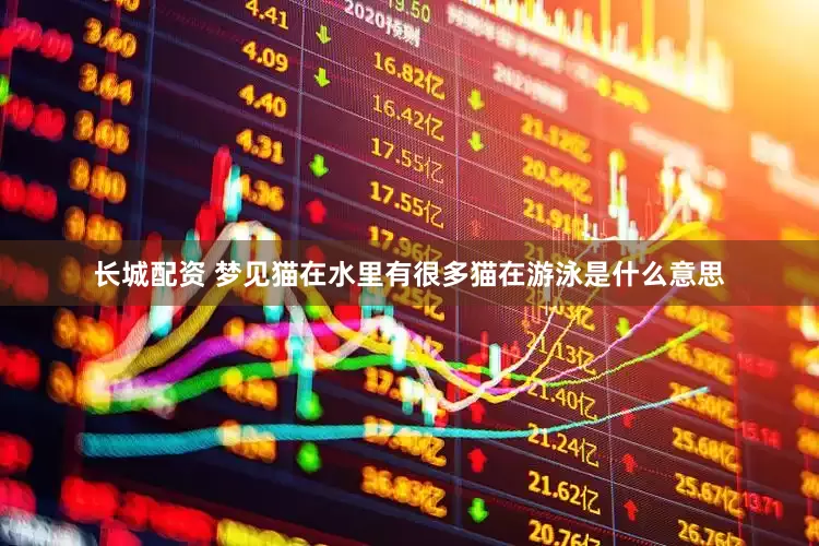 长城配资 梦见猫在水里有很多猫在游泳是什么意思