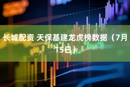 长城配资 天保基建龙虎榜数据（7月15日）