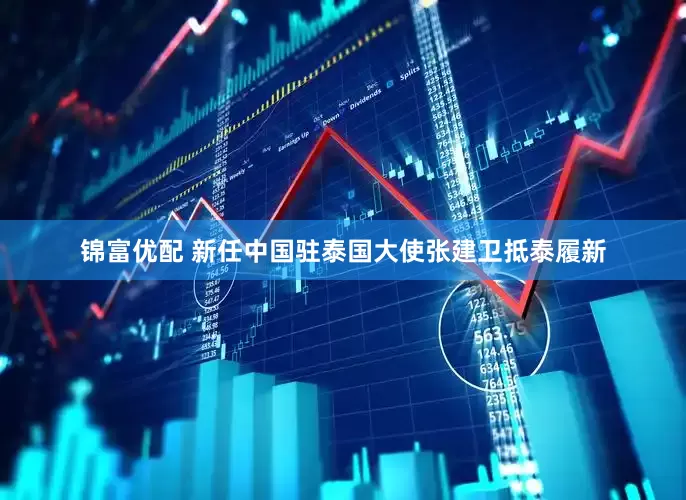 锦富优配 新任中国驻泰国大使张建卫抵泰履新