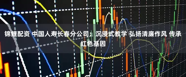 锦鲤配资 中国人寿长春分公司：沉浸式教学 弘扬清廉作风 传承红色基因