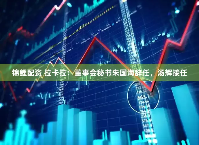 锦鲤配资 拉卡拉：董事会秘书朱国海辞任，汤辉接任