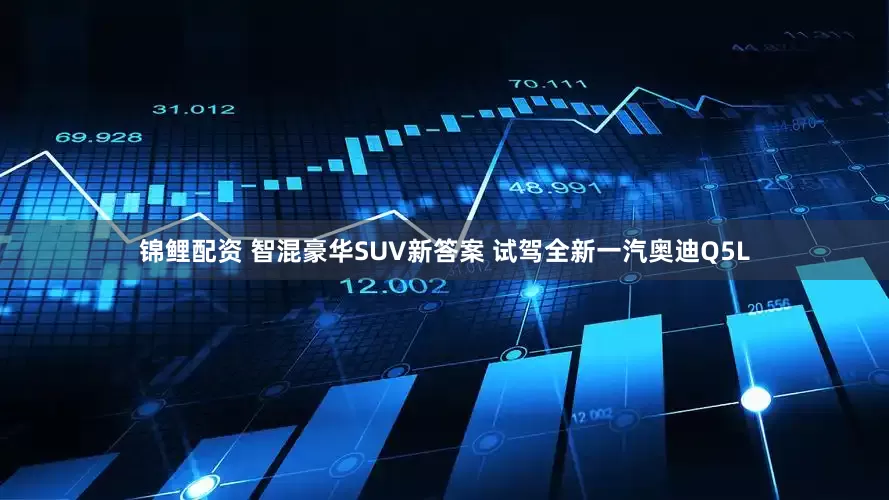 锦鲤配资 智混豪华SUV新答案 试驾全新一汽奥迪Q5L