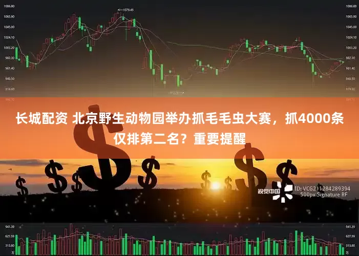 长城配资 北京野生动物园举办抓毛毛虫大赛，抓4000条仅排第二名？重要提醒